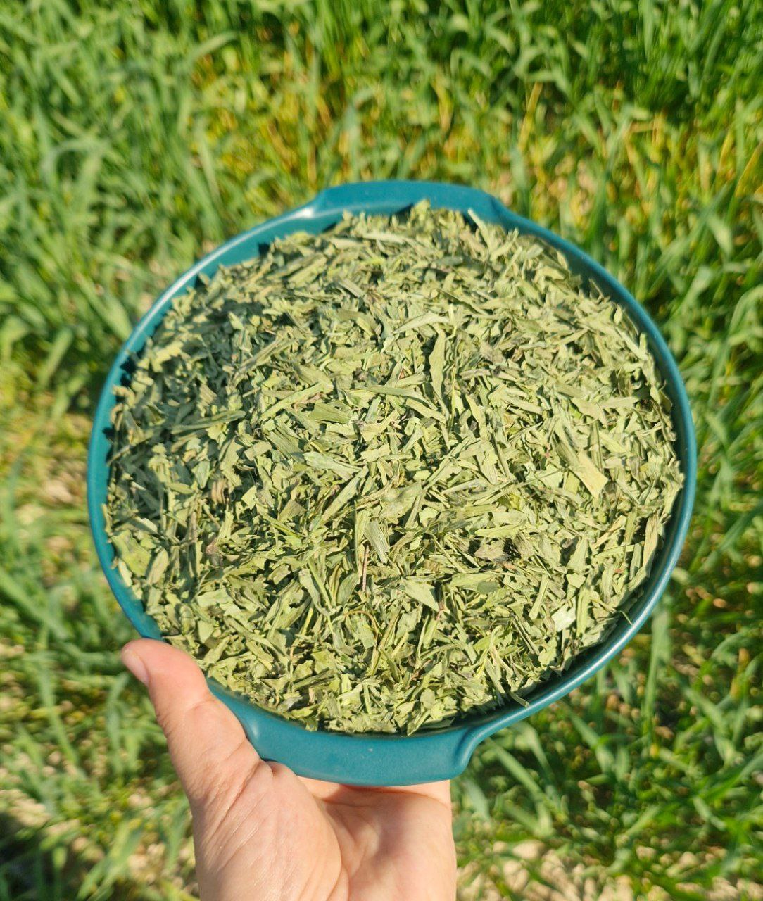 ترخون خشک