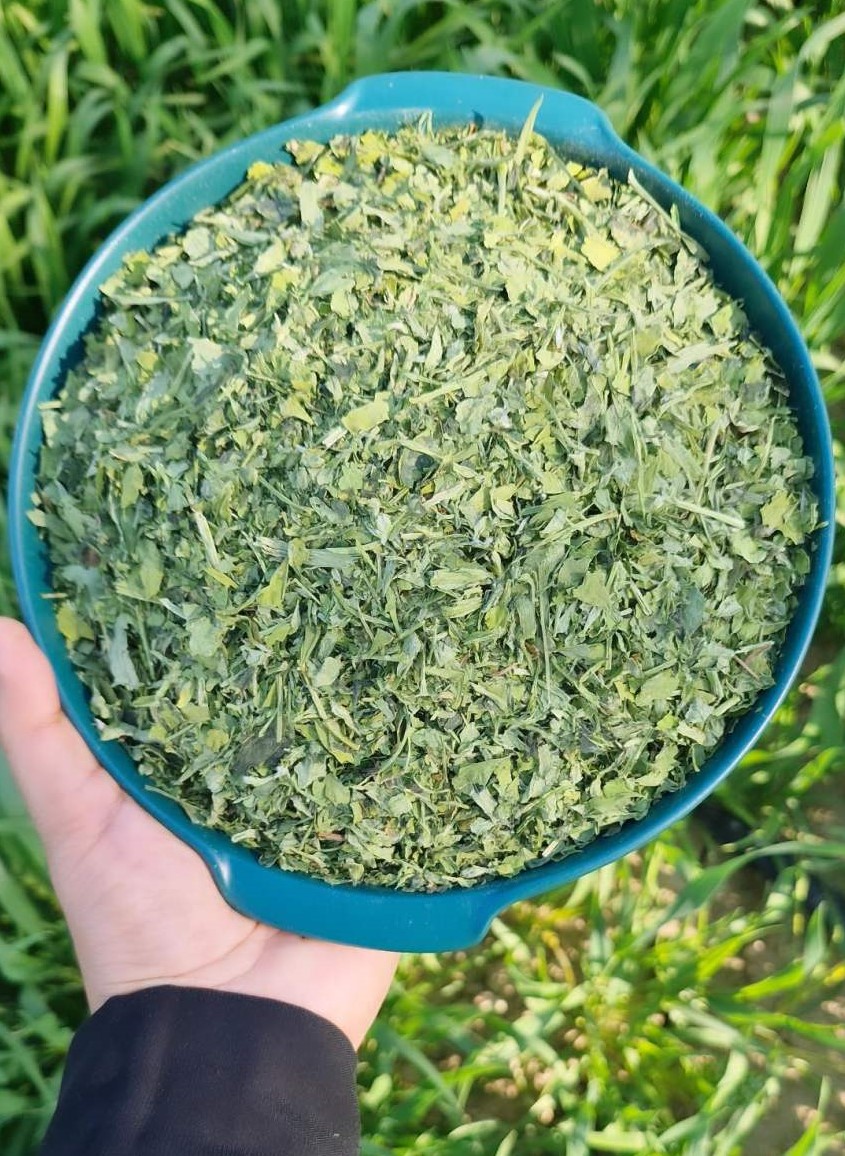 شنبلیله خشک