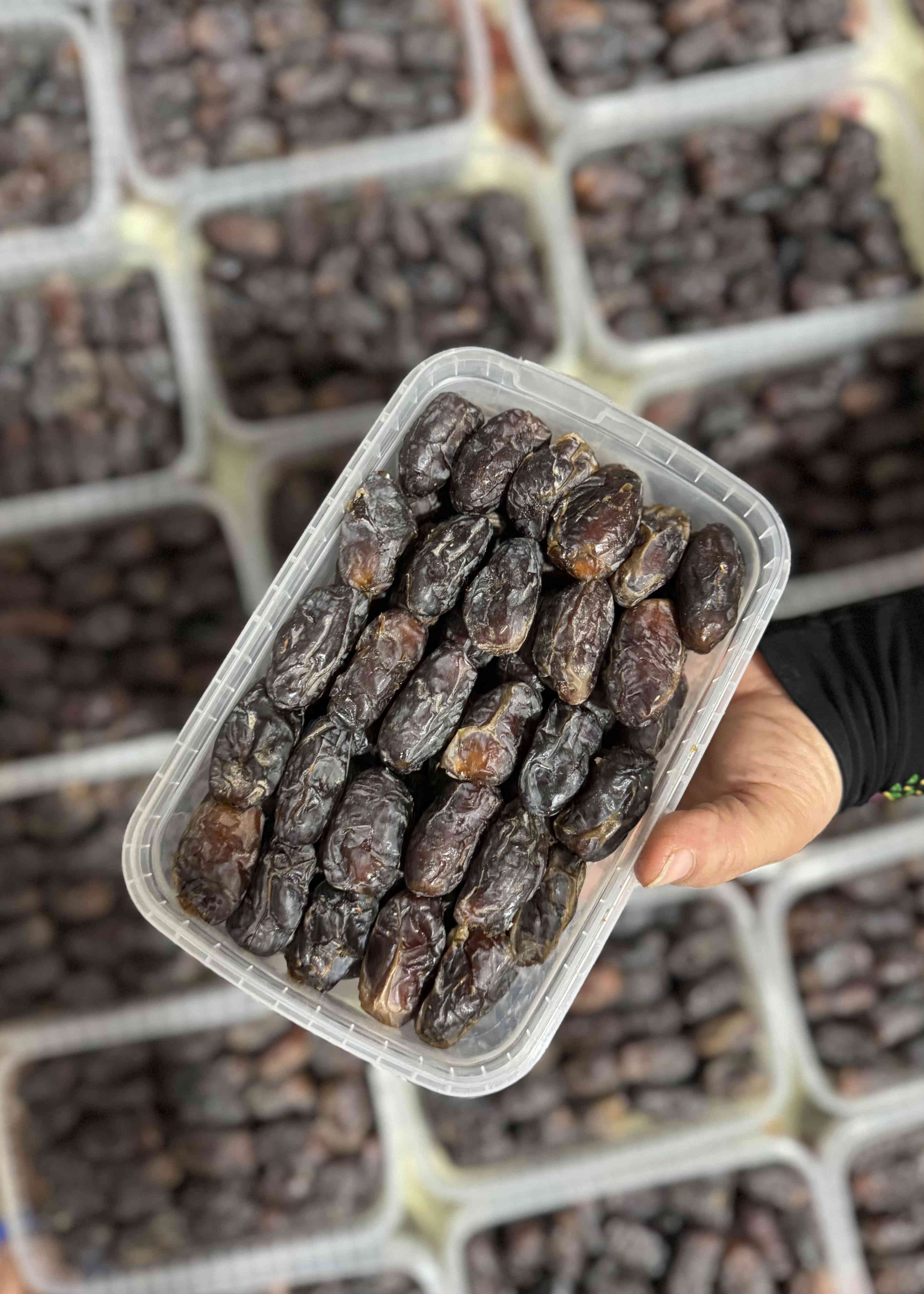 خرما شاوی