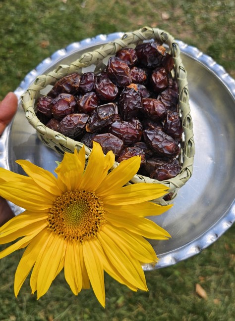 خرما خاصویی دستچین