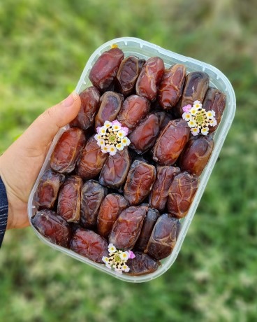 خرما کبکاب بدون شیره 
